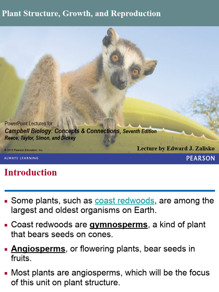 Plant Structure and Function Overview | PDF | Fertilisation | Seed