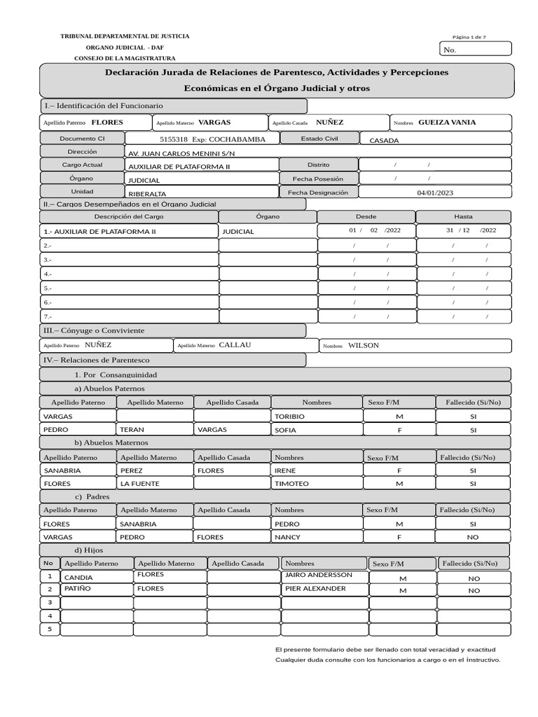 Formulario de Incompatibilidades. Editado | PDF | Argentina ...