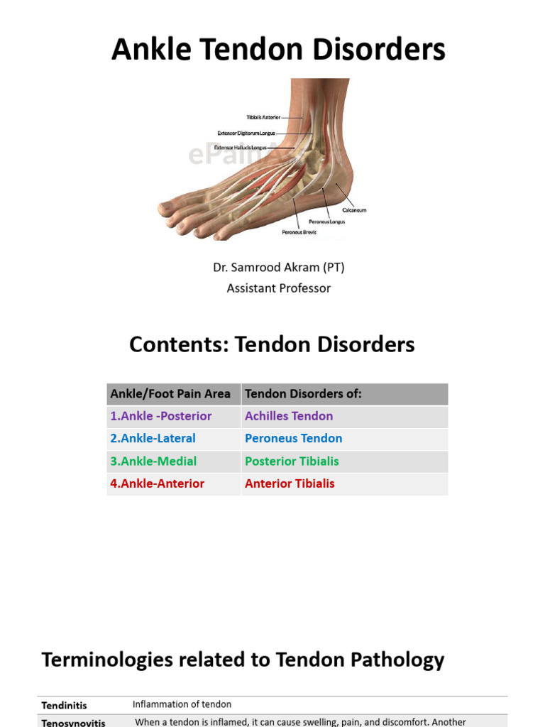 Ankle & Foot Disorders With Assessment and Management | PDF | Foot ...