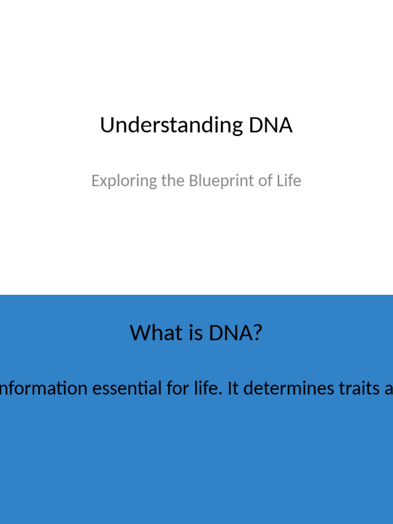 DNA Presentation Creative | PDF