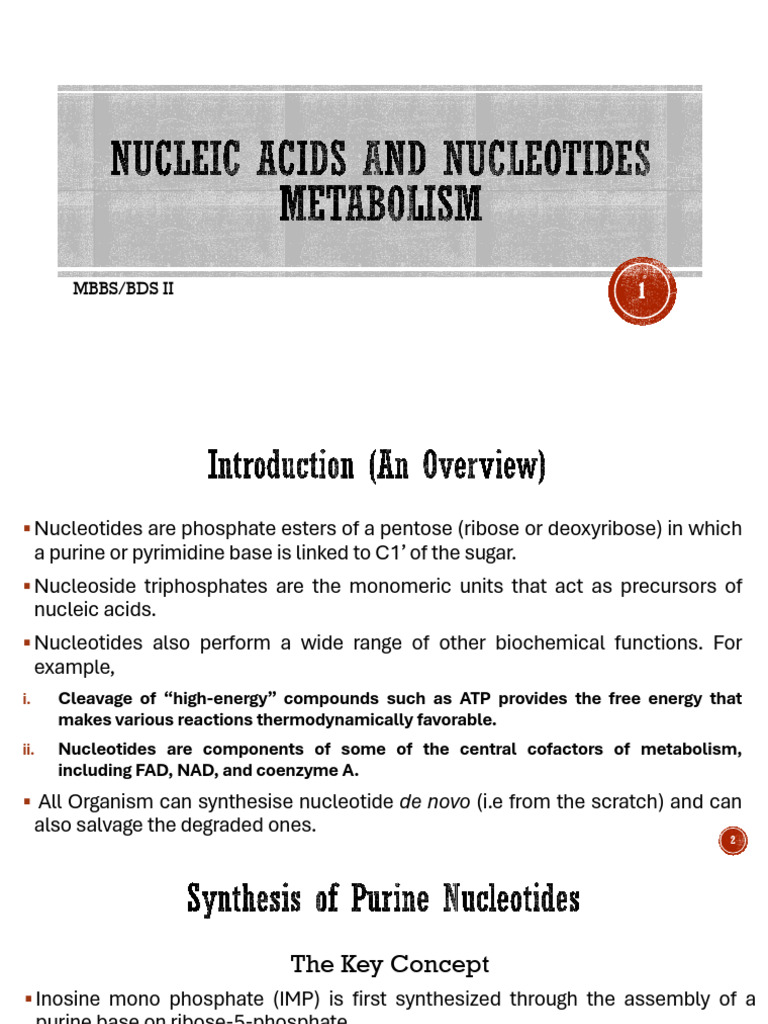 Nucleotide Metabolism Overview | PDF | Nucleotides | Biosynthesis