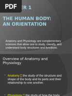 Chapter 1 The Human Body | PDF | Human Body | Blood