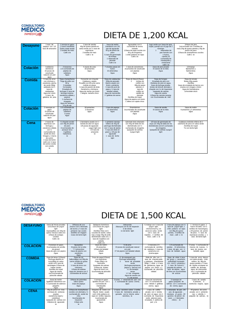Plan de Dieta 1200 y 1500 Kcal | PDF | ensalada | Sopa
