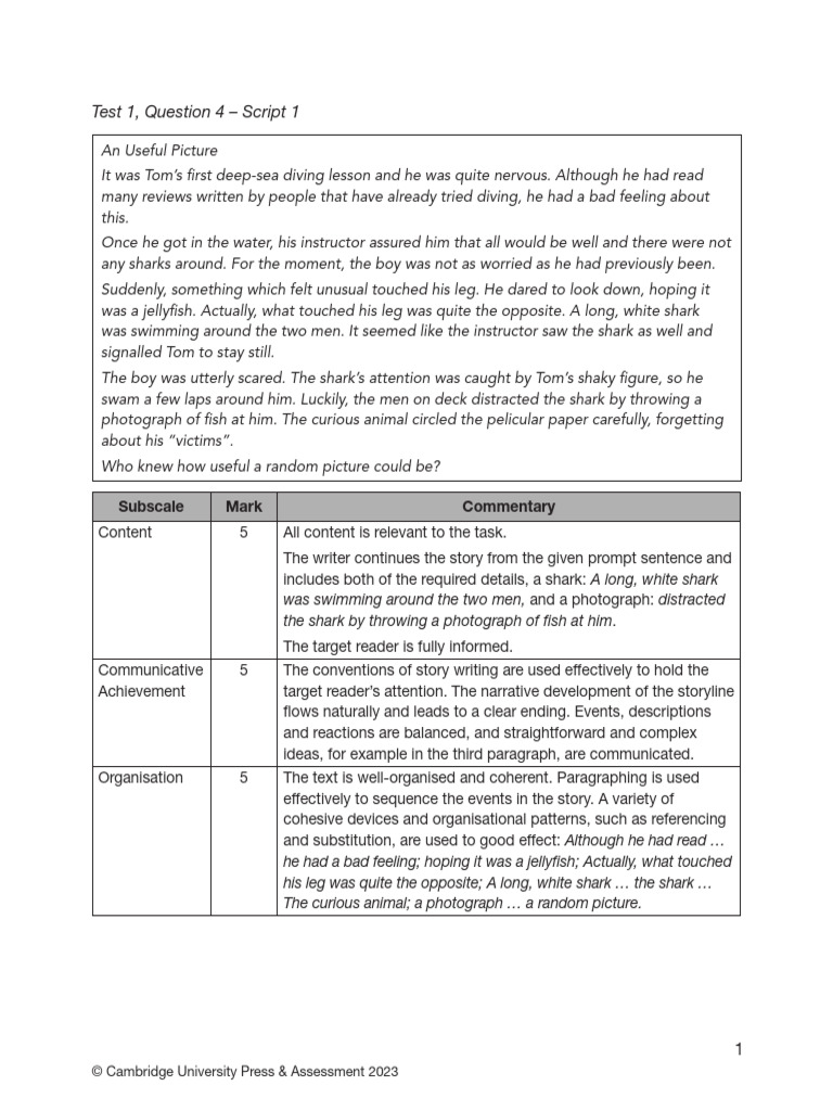 Shark Encounter During Diving Lesson | PDF | Human Communication ...