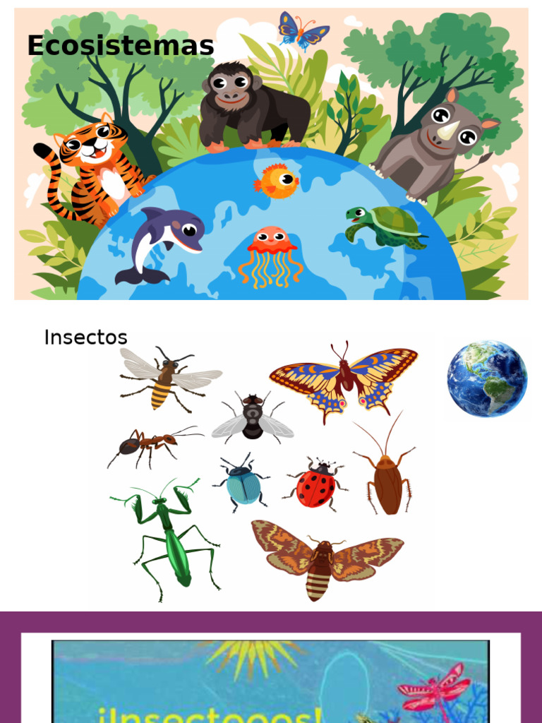 Tipos de Insectos en Ecosistemas | PDF