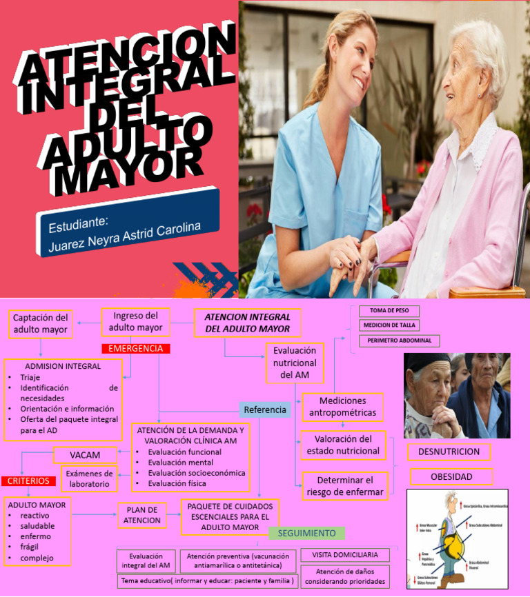 Atencion Integral Del Adulto Mayor Sesion 3 | PDF | Medicina | Cuidado ...
