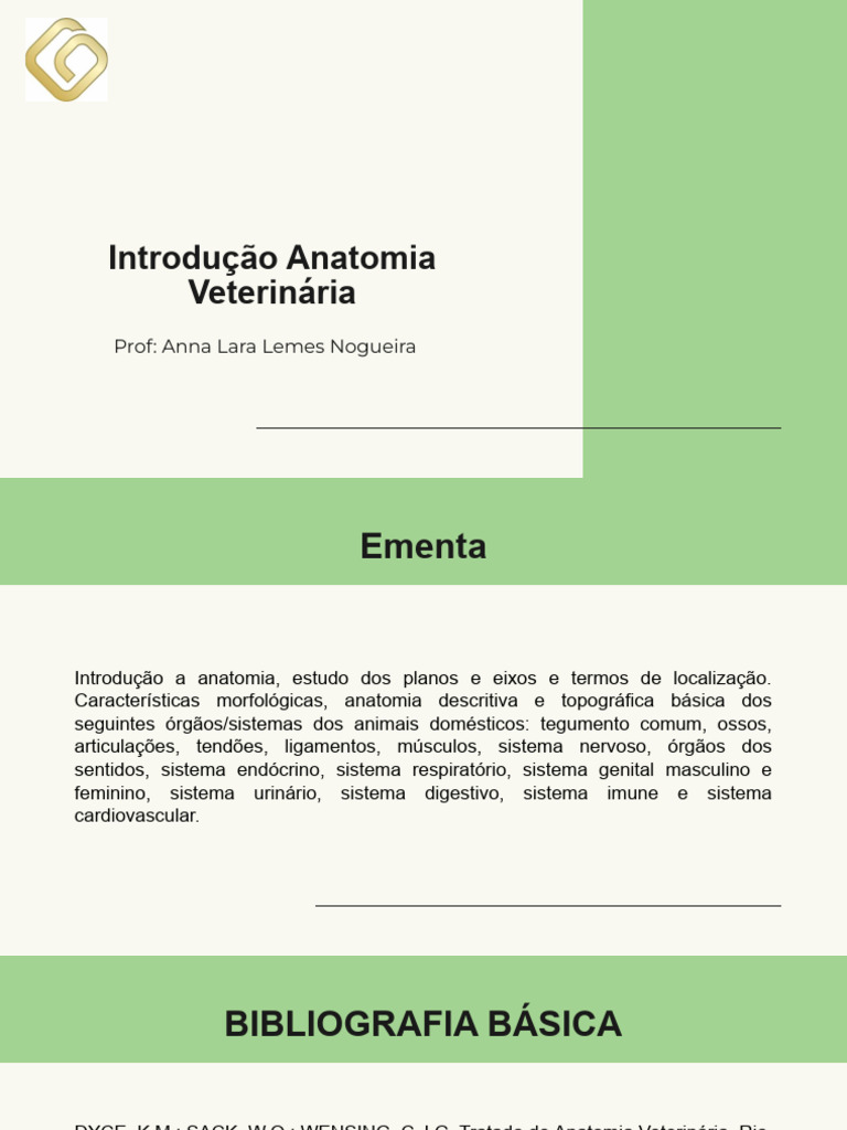 Introdução Anatomia Veterinária Pdf Corpo Humano Anatomia