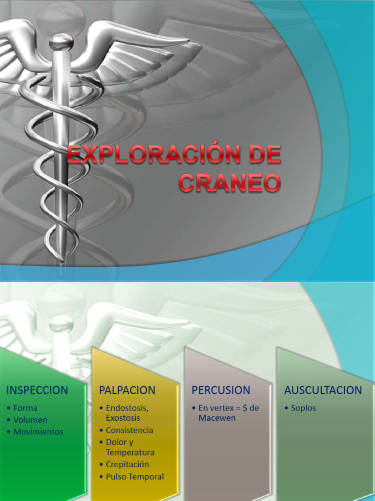 Exploraci%c3%93n+Cr%c3%81neo+y+Cara | PDF | Cráneo | Enfermedades y ...