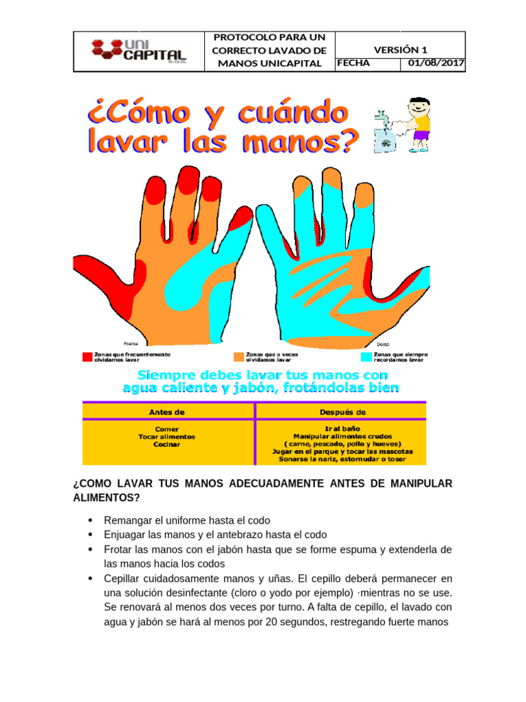 Protocolo de Lavado de Manos | PDF | Lavado de manos | Higiene
