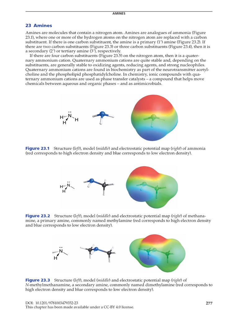 Understanding Amines: Types and Properties | PDF | Amine | Ammonium