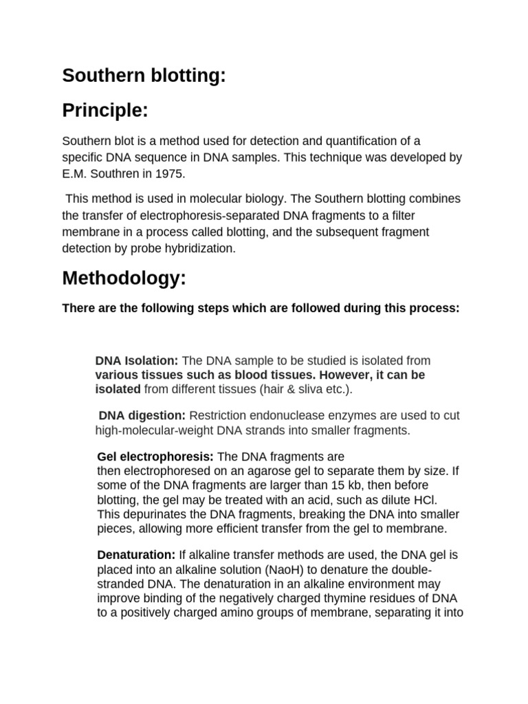 Southern Blotting | PDF | Southern Blot | Gel Electrophoresis