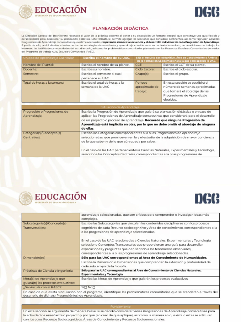 Formato de Planeación Didáctica NEM | PDF | Evaluación | Enseñando