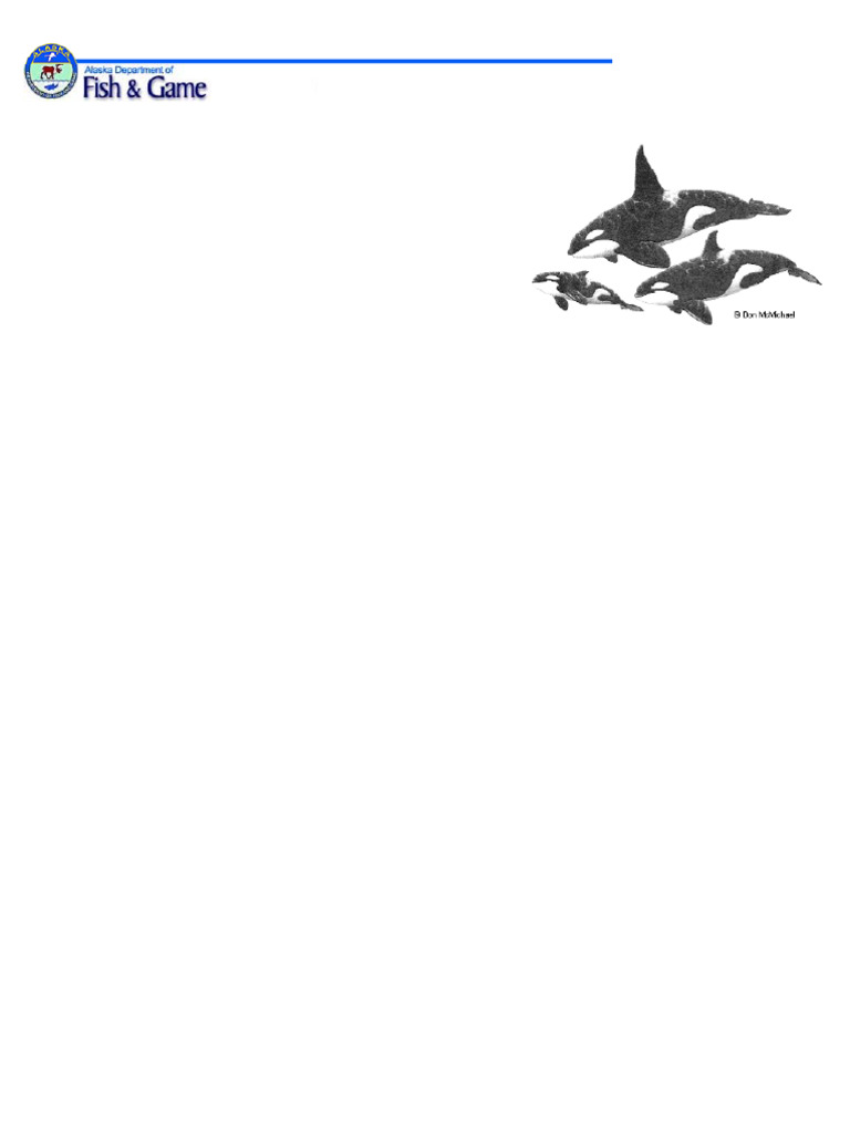 orca | PDF | Marine Mammals | Cetacea
