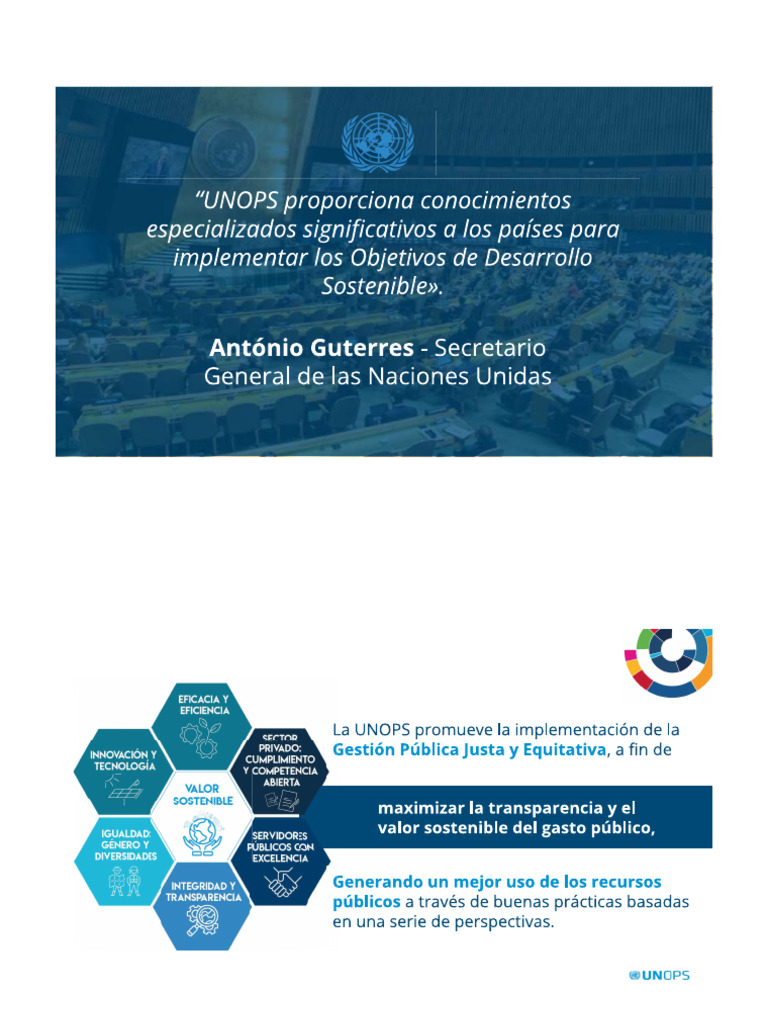 UNOPS_resumen | PDF | Presupuesto
