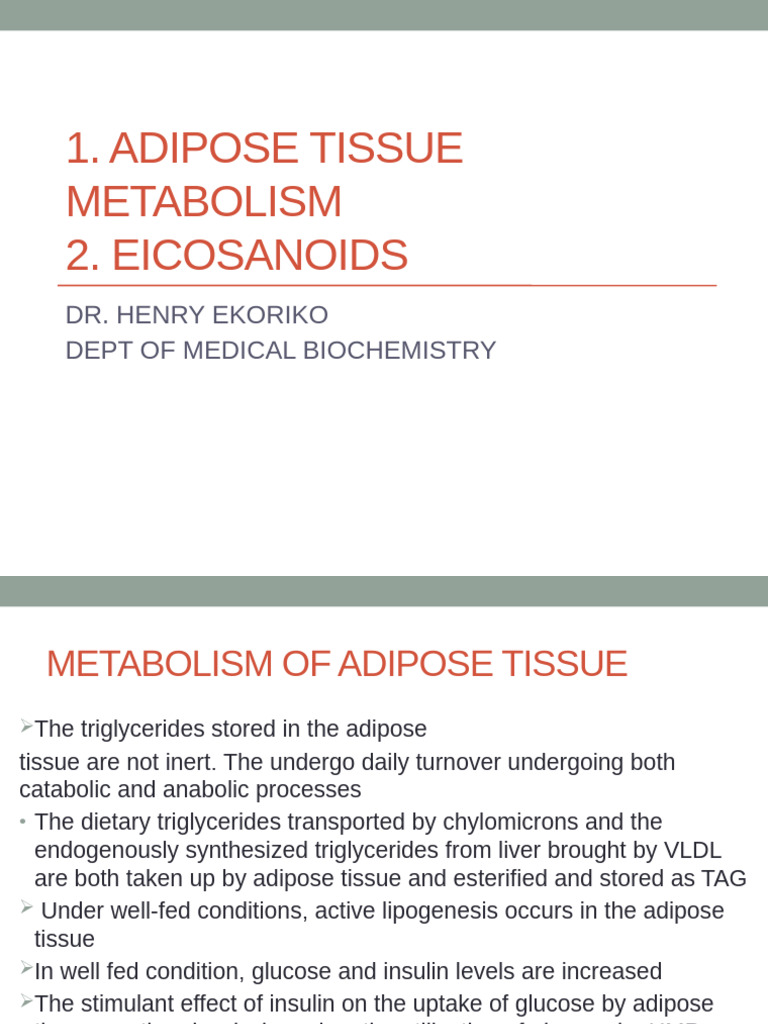 Adipose Tissue Metabolism 2022 | PDF | Prostaglandin | Nonsteroidal ...
