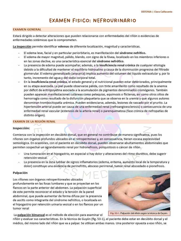 Examen Físico Nefrourinario Detallado | PDF | Edema | Riñón