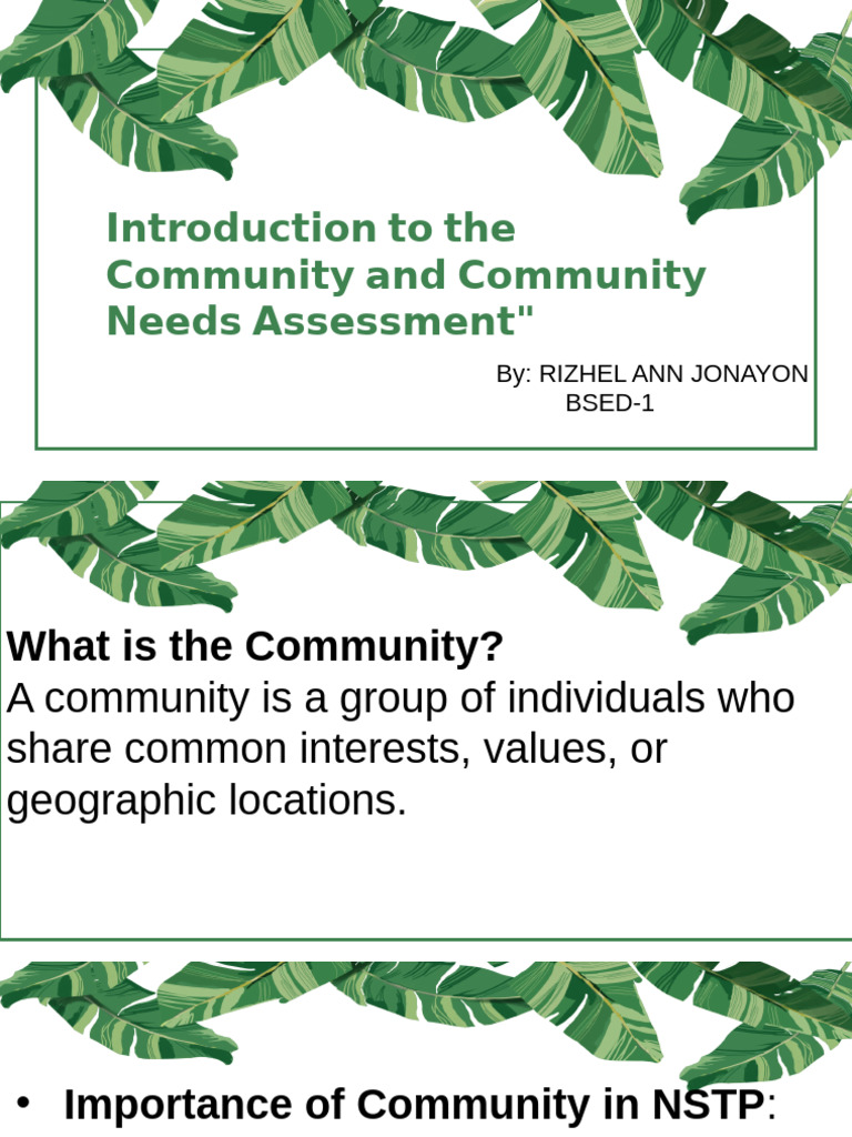 Community Needs Assessment Guide | PDF | Community | Civic Engagement