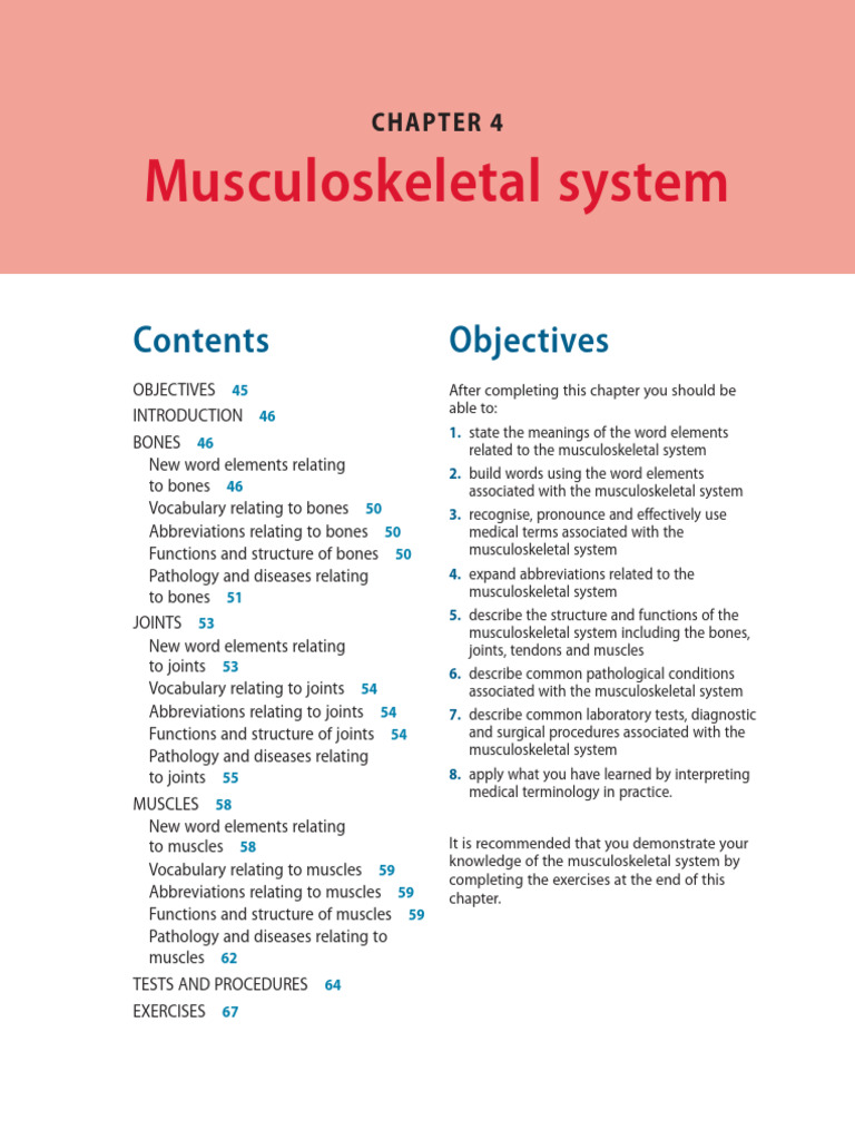 Musculoskeletal System Overview | PDF | Bone | Osteoporosis