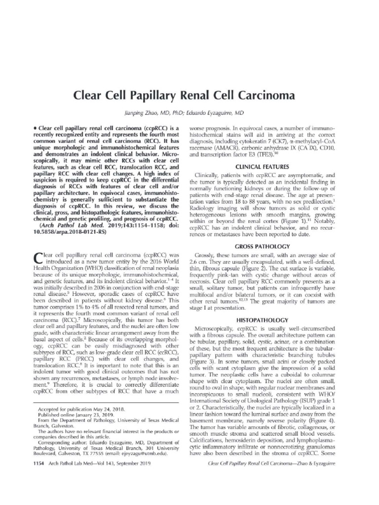 3 Clear Cell Papillary Renal Cell Carcinoma | PDF