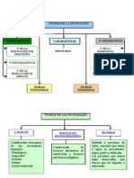 Mapa Conceptual