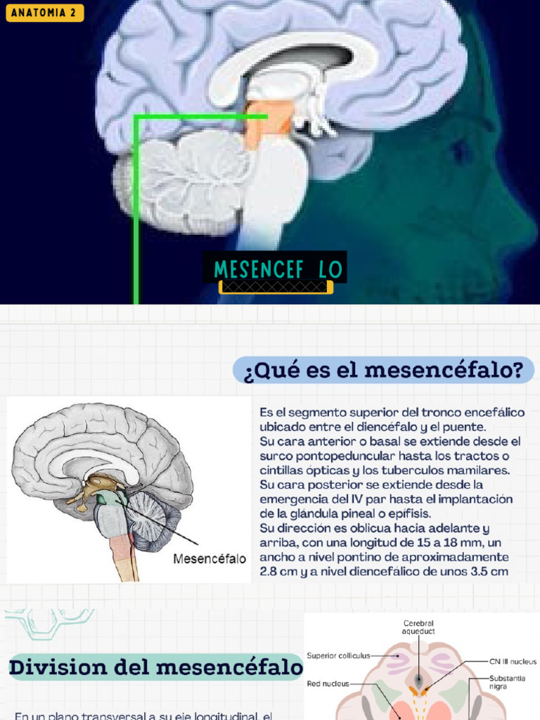 Pyrohemia [Commander 2011] main image 1