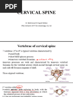 Upper Limb Tension Tests Guide | PDF | Anatomical Terms Of Motion | Elbow