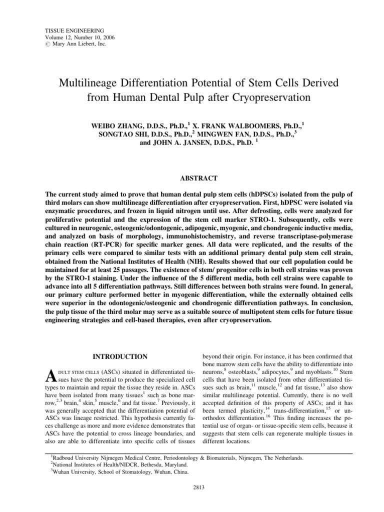 Multilineage Differentiation Potential of Stem Cells Derived From Human ...