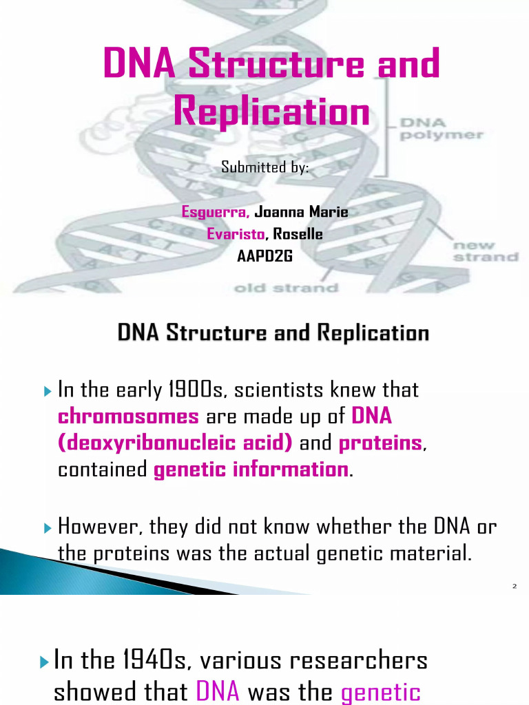 RNA | PDF