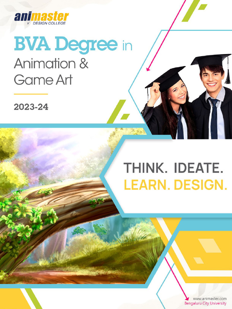 BVA in Animation & Multimedia Course | PDF