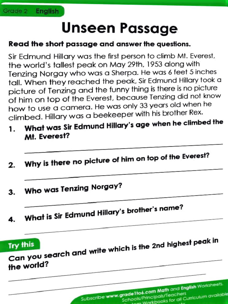 Grade 2 Reading Comprehension | PDF