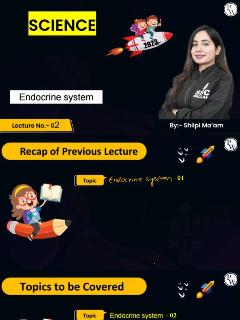 Endocrine System 02 - Class Notes | PDF