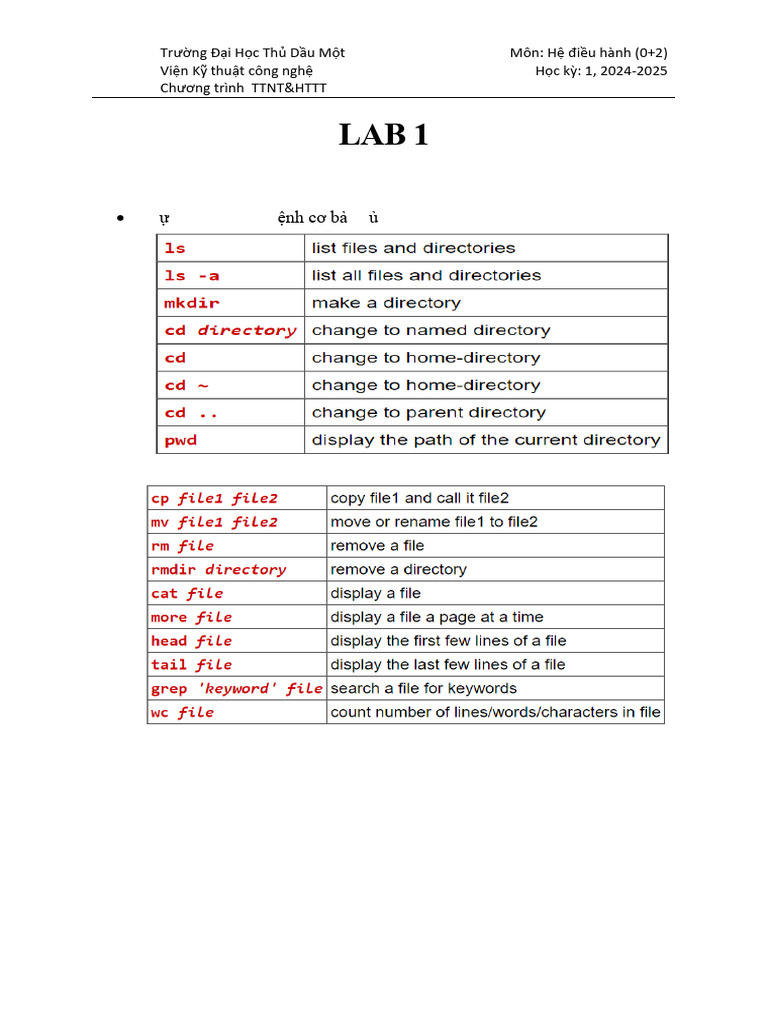Lab 1 cac lenh co ban cua linux pdf