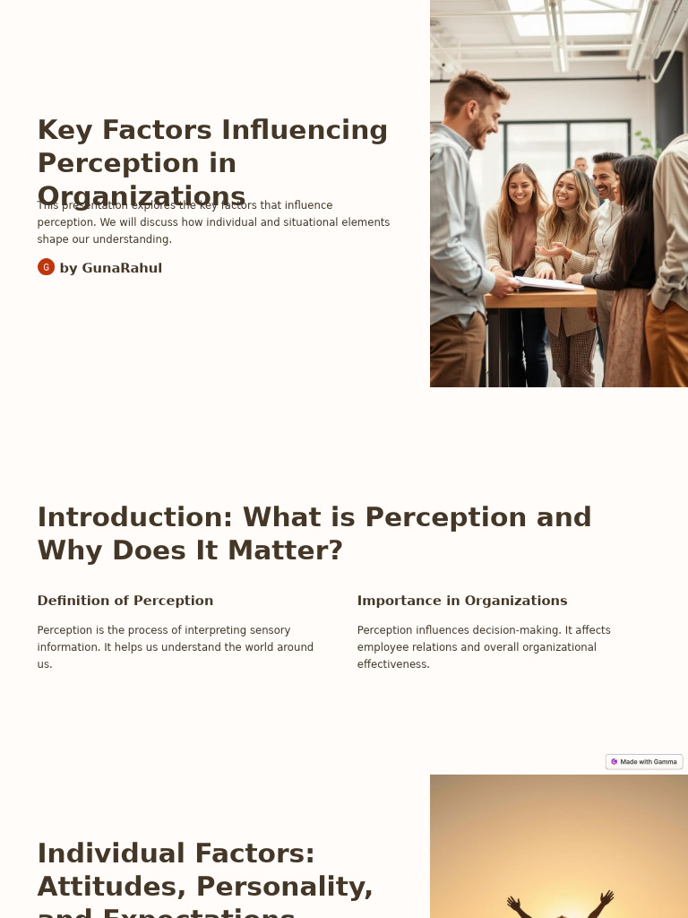 Key Factors Influencing Perception in Organizations | PDF | Perception ...