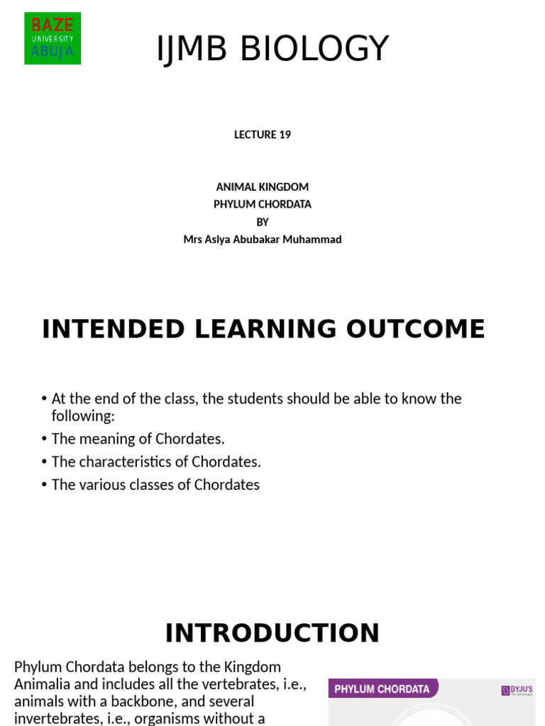 Chordata Phylum Overview and Characteristics | PDF | Vertebrates ...