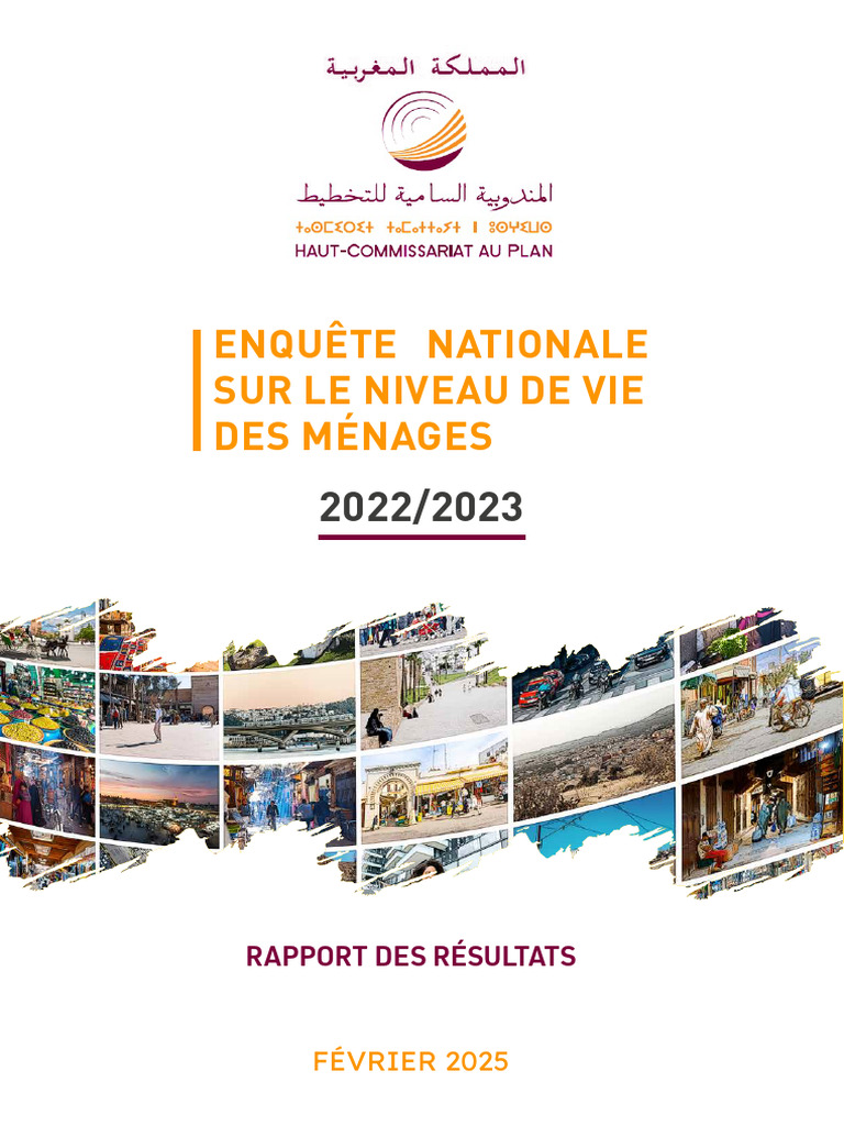 Rapport Des Résultats de L'enquête Nationale Sur Le Niveau de Vie Des ...