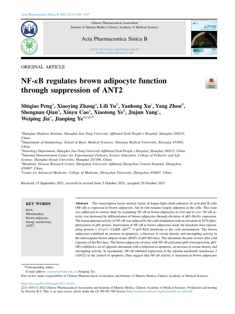 NF-KB Regulates Brown Adipocyte Function Through S | PDF | Adipose ...