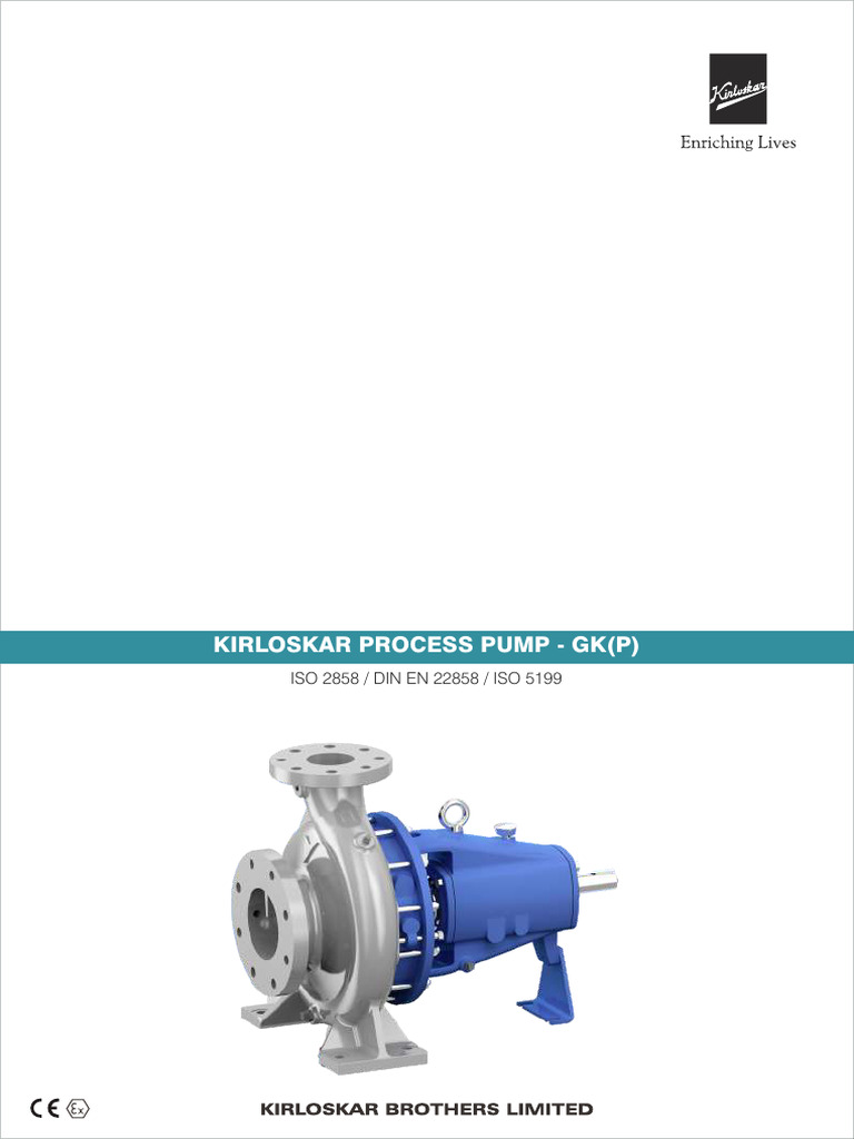 Kirloskar GK(P) Process Pump Overview | PDF | Pump | Bearing (Mechanical)