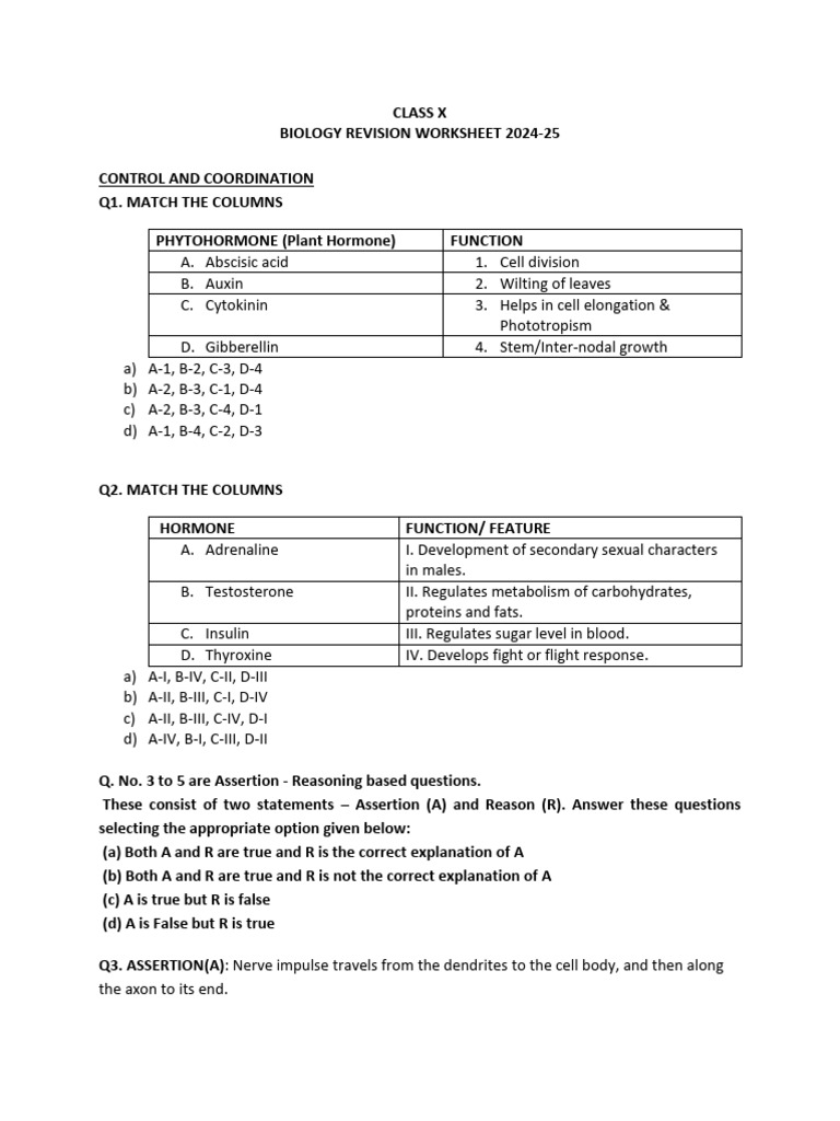 Class X Biology Revision Worksheet 2024-25 | PDF | Dominance (Genetics ...