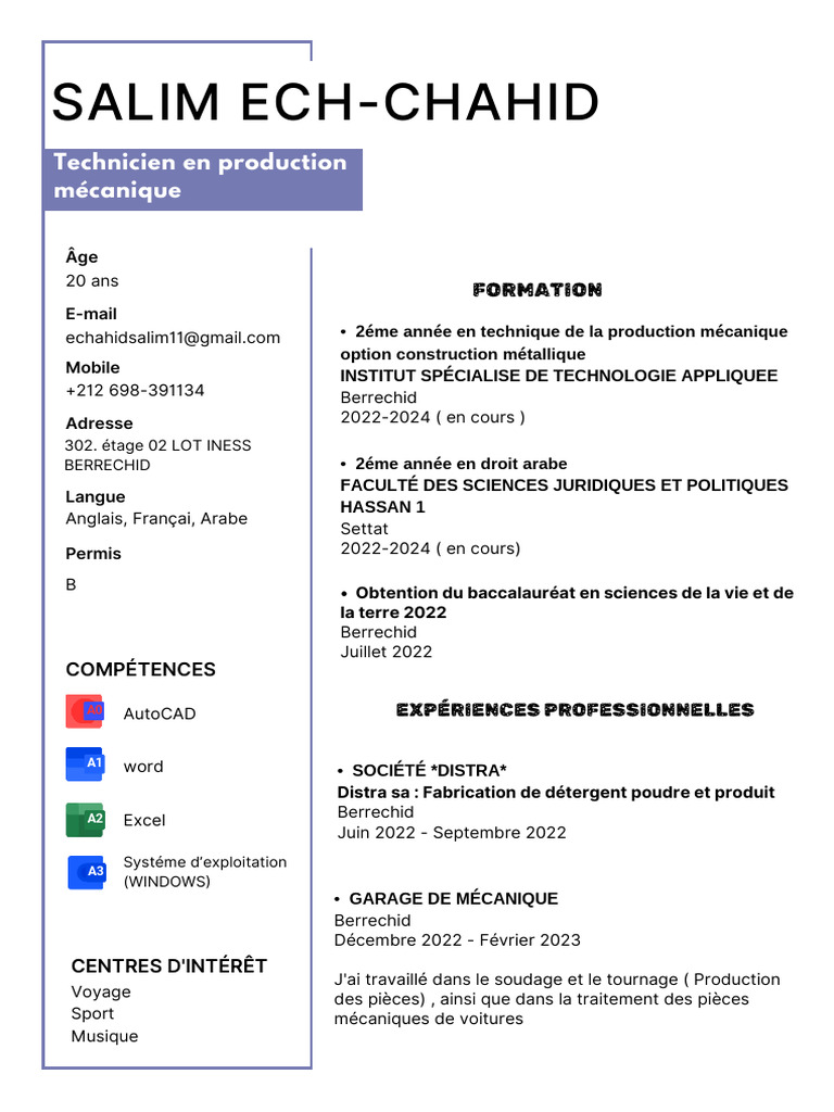 CV Étudiant de Salim Ech-Chahid | PDF