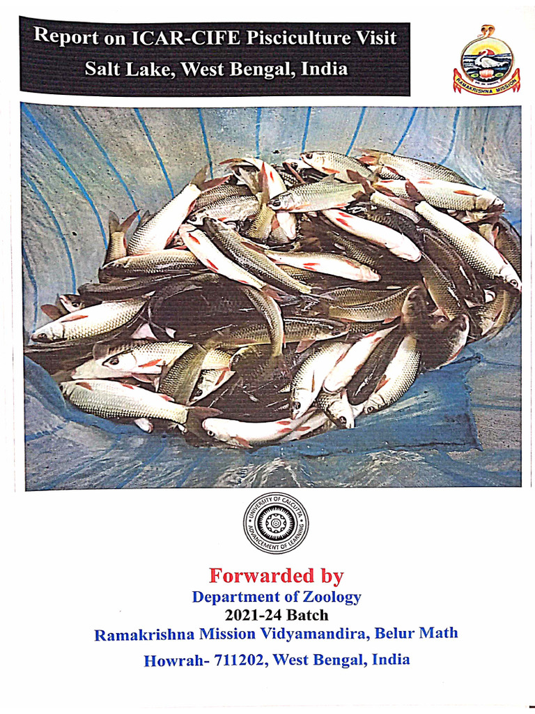 Fishery Report | PDF