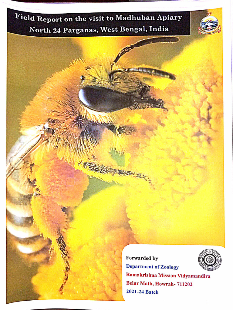 Apiary Field Report | PDF