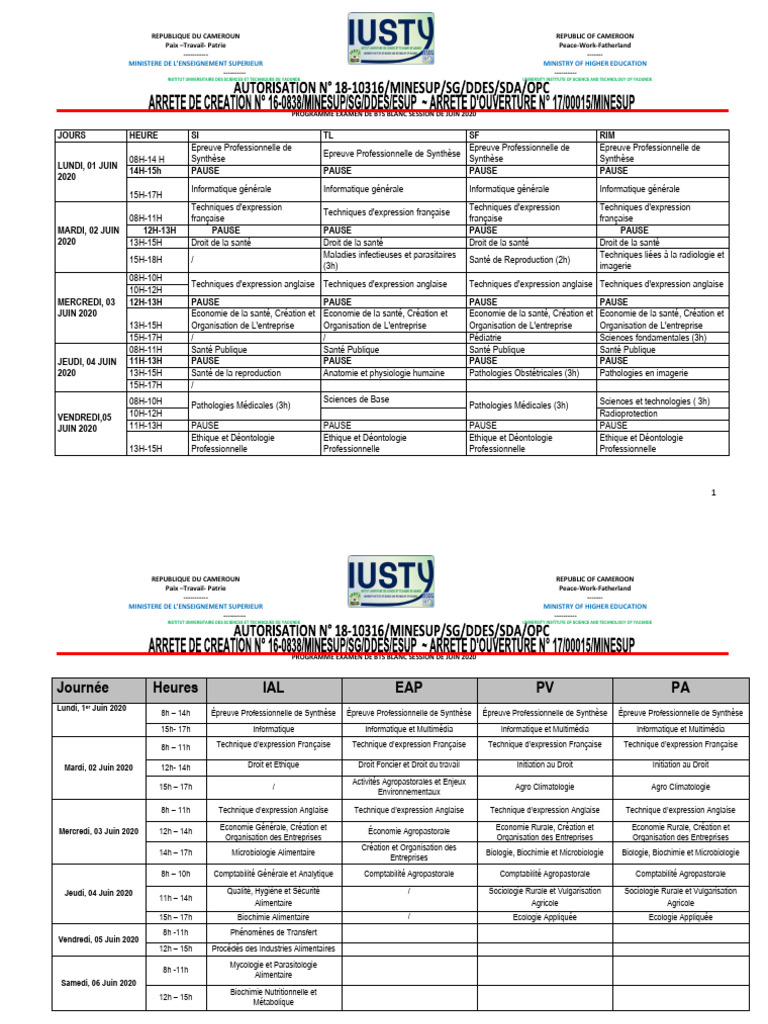 Programme BTS Blanc Juin 2020 Cameroun | PDF | Science