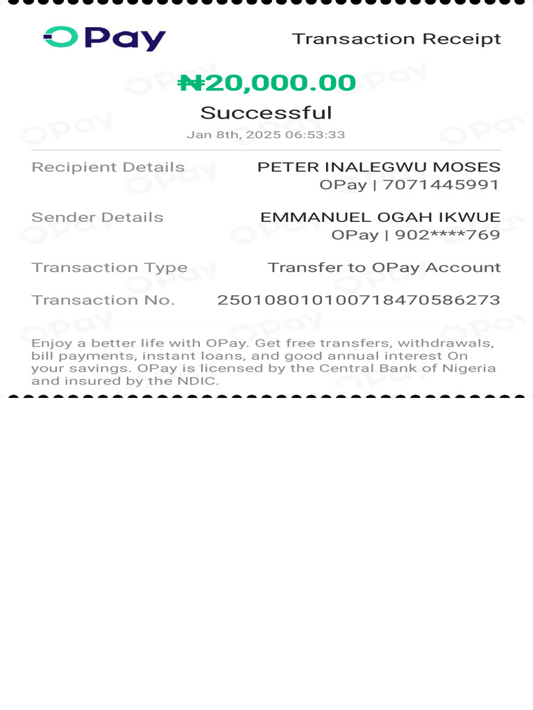 Successful ₦20,000 OPay Transfer | PDF