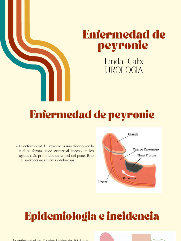 Peyronie Final | PDF | Medicina CLINICA | Medicina