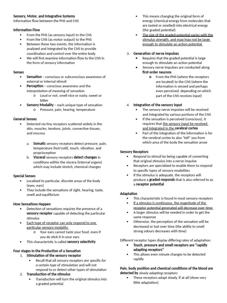 Sensory and Motor Systems Overview | PDF | Senses | Somatosensory System