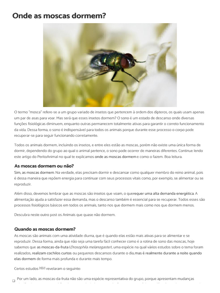 Onde As Moscas Dormem | PDF | Dormir | Mosca