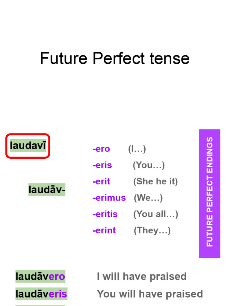 Future Perfect Tense Overview | PDF
