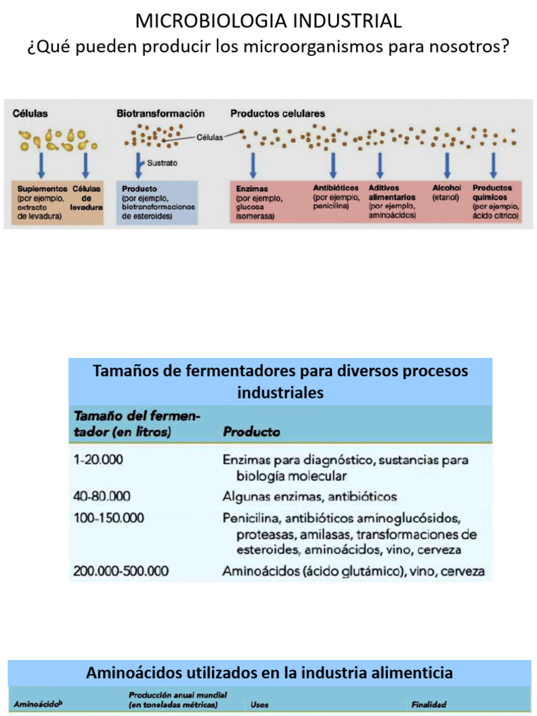 Aplicaciones de Microorganismos en Industria | PDF