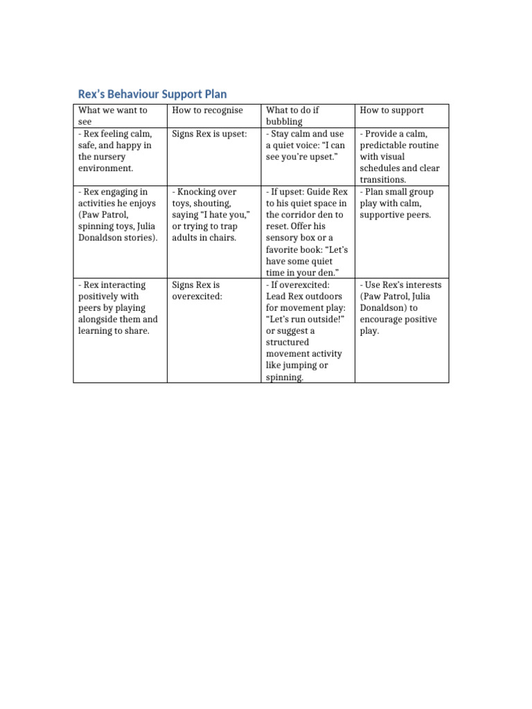 Rex's Behaviour Support Strategies | PDF