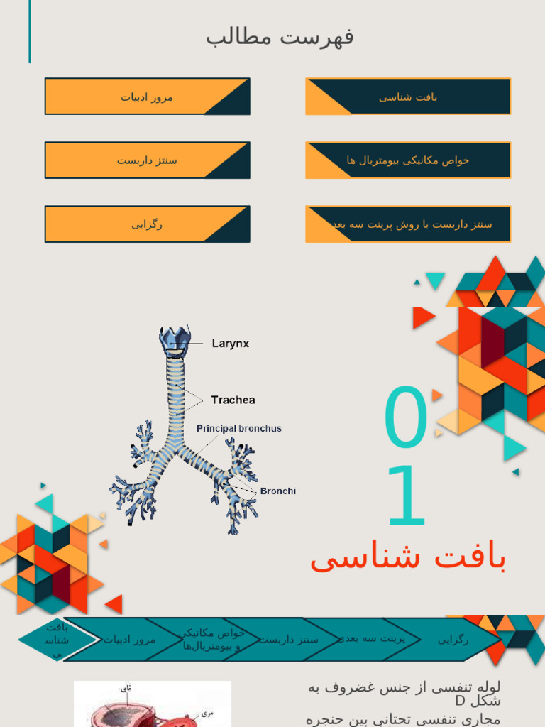 ارائه نای | PDF